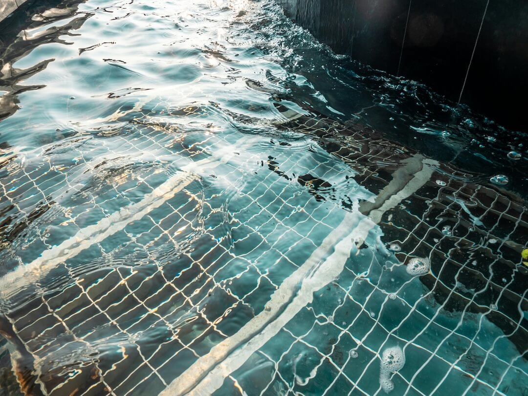 Florida Climate and Pool Health: Why Regular Care Matters Image